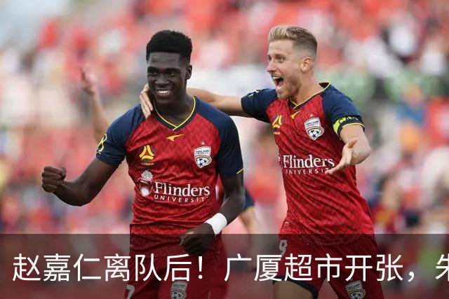 赵嘉仁离队后！广厦超市开张，朱俊龙布朗被疯抢，广东要胡金秋？